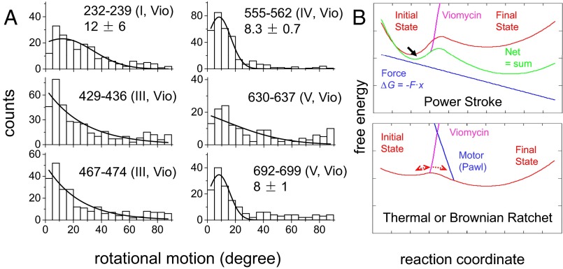 Fig. 3.