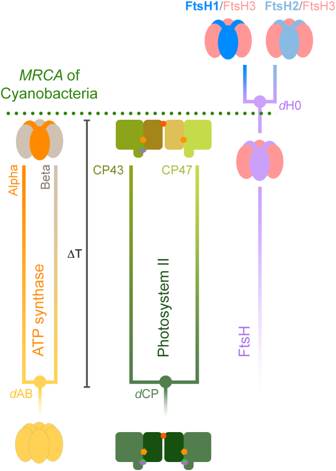 Fig. 3