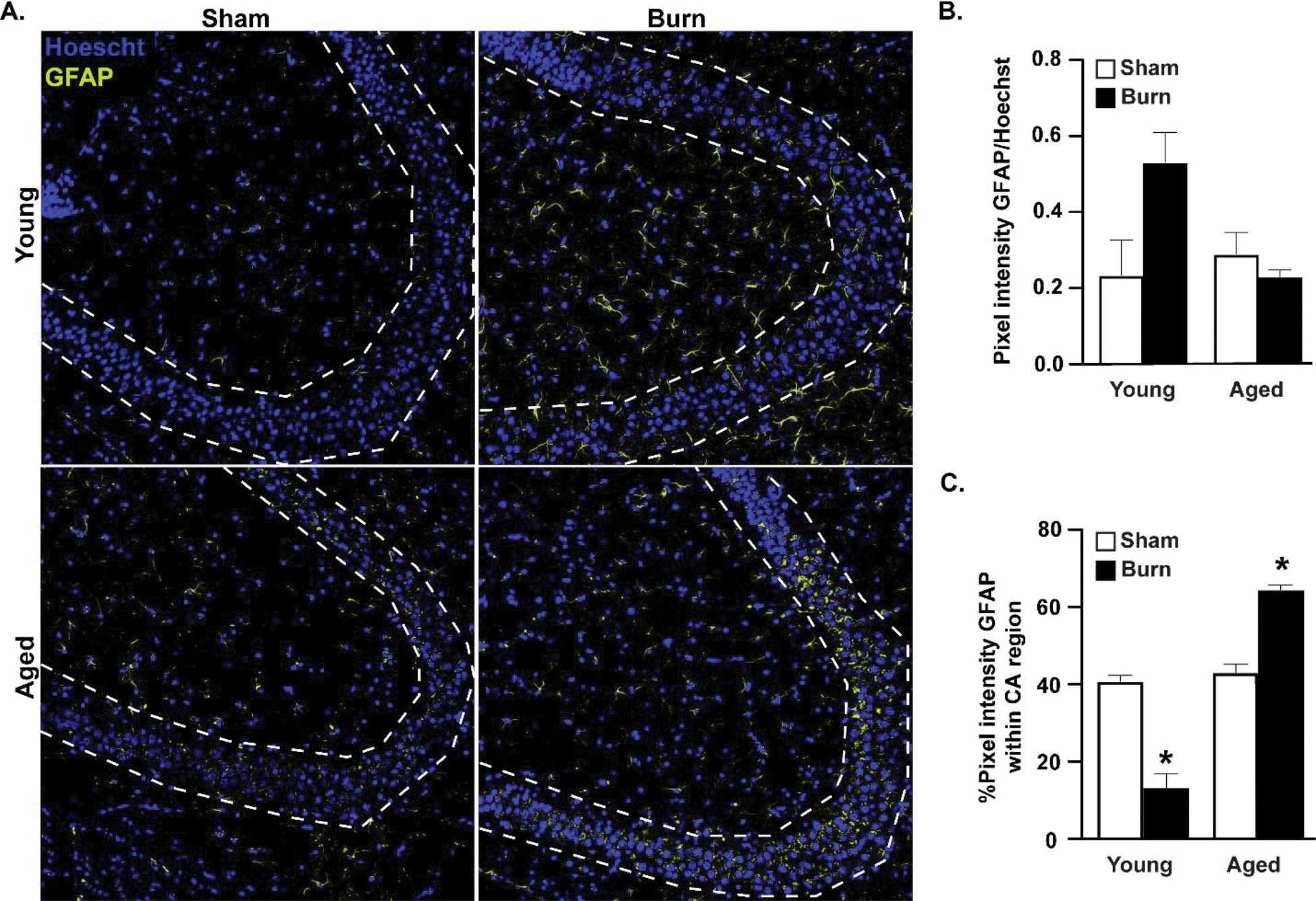 Figure 3.