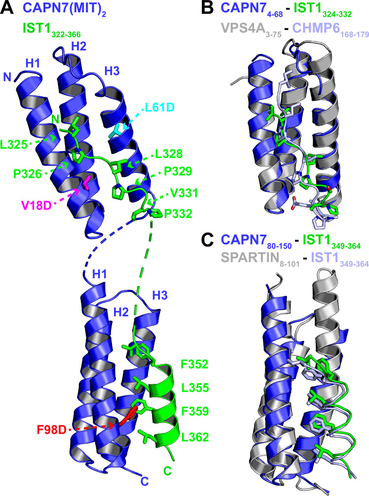 Figure 2.