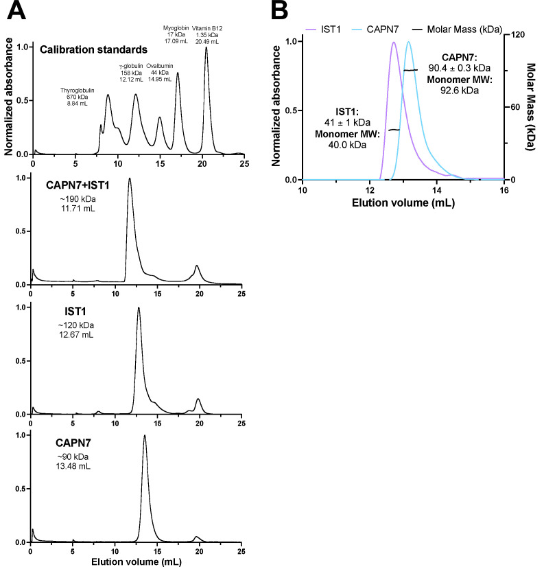 Figure 3—figure supplement 2.