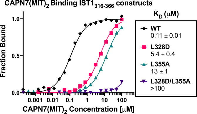 Figure 3—figure supplement 3.