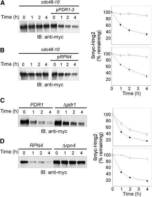 Figure 4.—