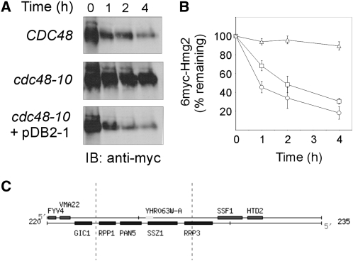 Figure 1.—