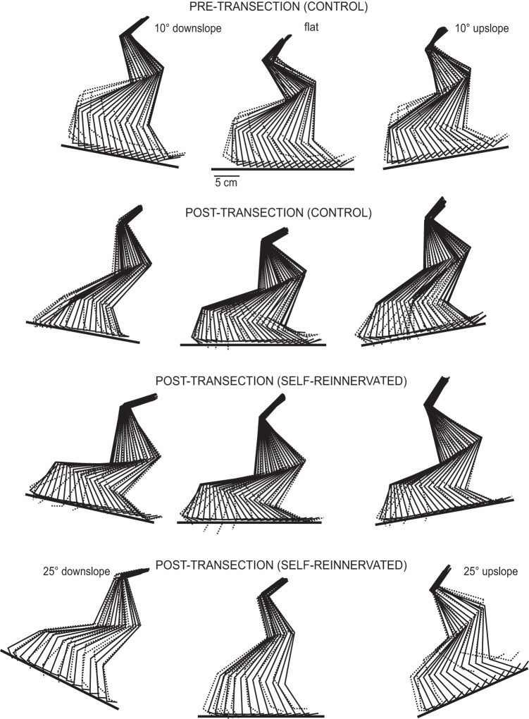 Fig. 3.