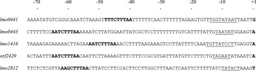 FIG. 3.