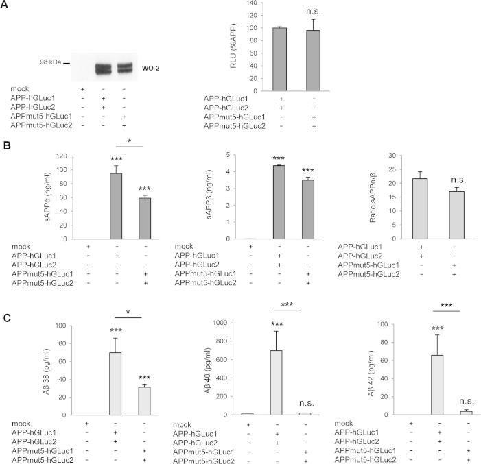 Supplementary Fig. 2