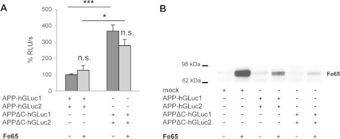 Supplementary Fig. 3