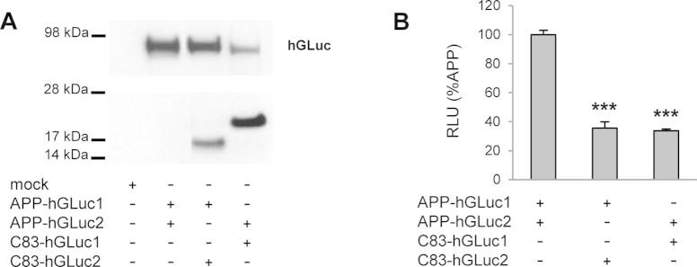 Supplementary Fig. 1