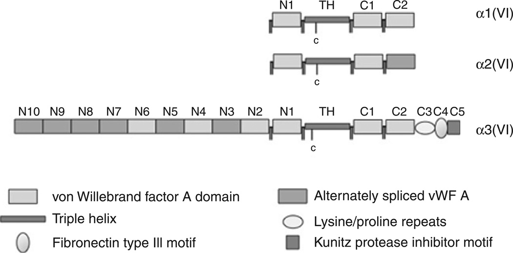 Figure 5.4