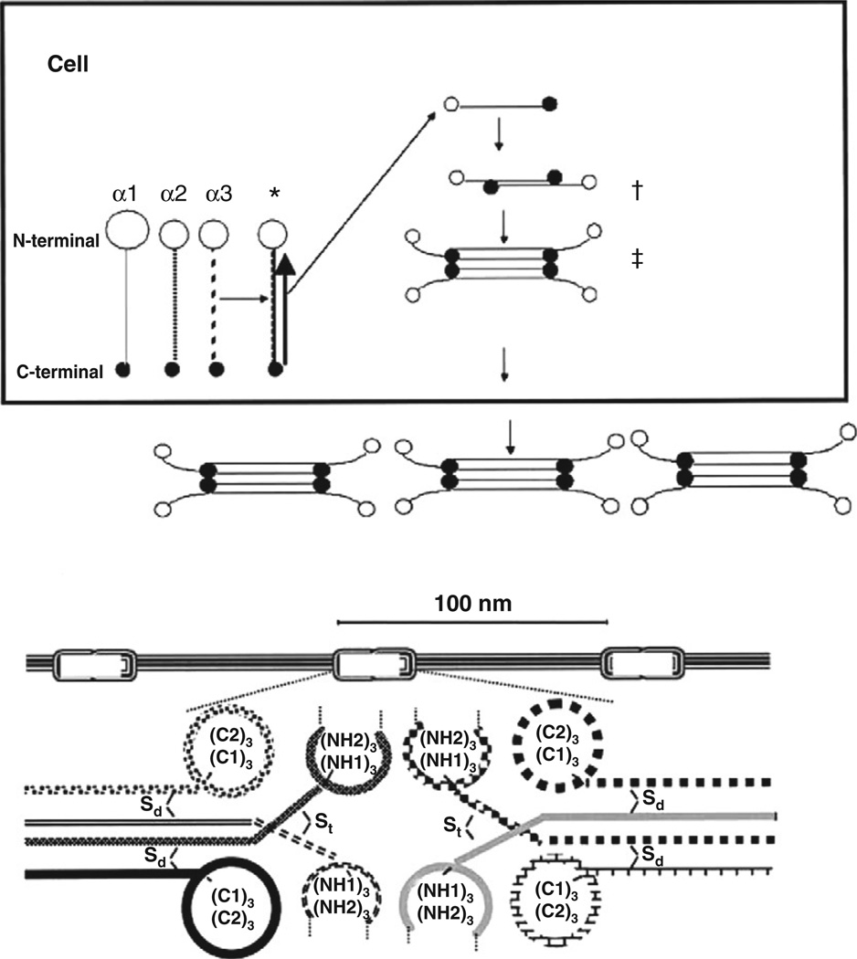 Figure 5.5