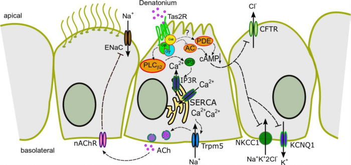 Figure 9