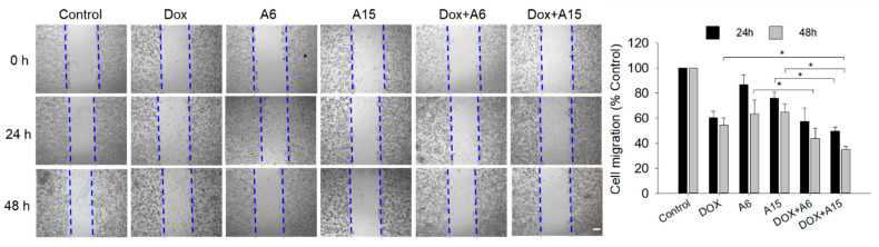 Figure 13