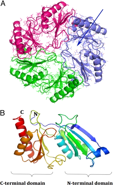 Fig. 1.