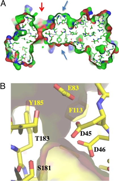 Fig. 3.