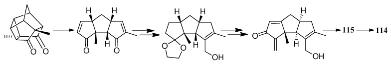 Scheme 53