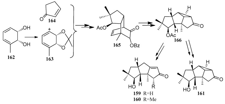 Scheme 24