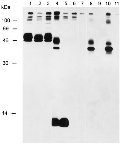 FIG. 7