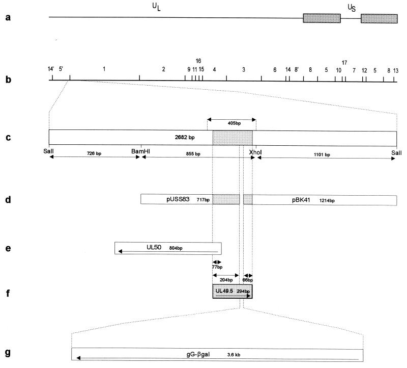 FIG. 1