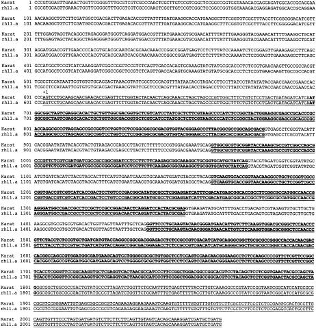 Figure 10.