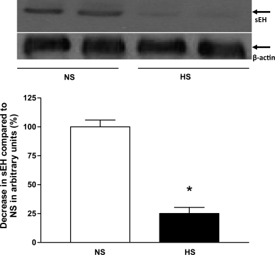 Fig. 11.