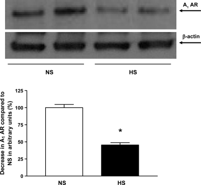 Fig. 13.