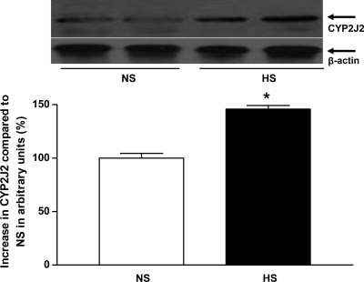 Fig. 10.