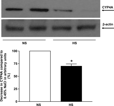 Fig. 12.