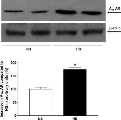 Fig. 14.