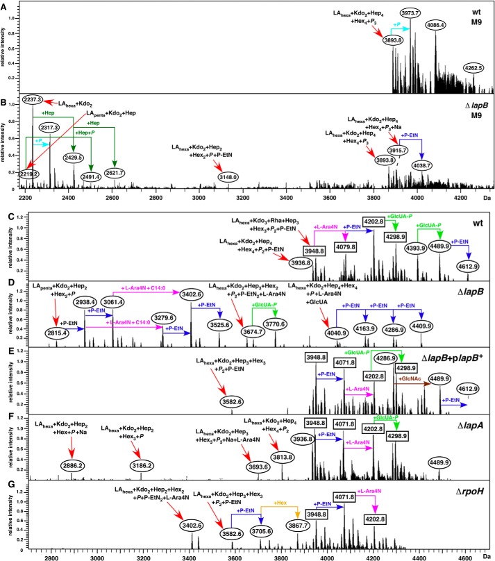 FIGURE 4.