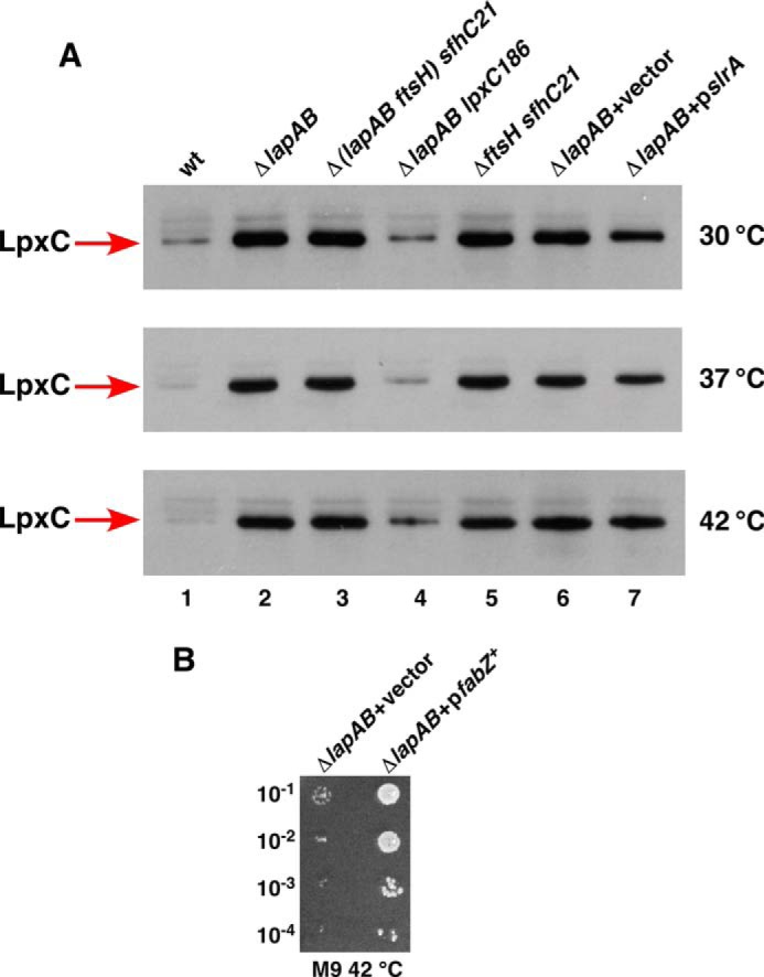 FIGURE 7.