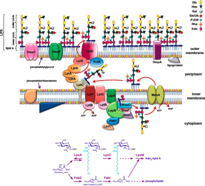 FIGURE 14.