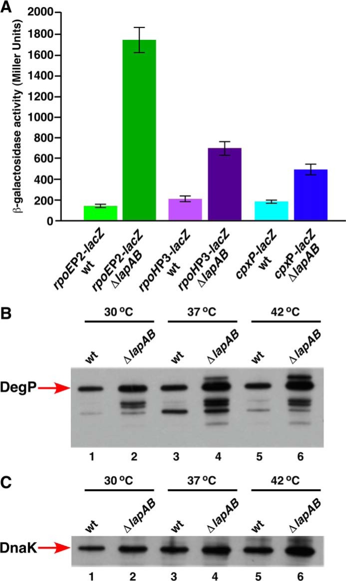 FIGURE 12.