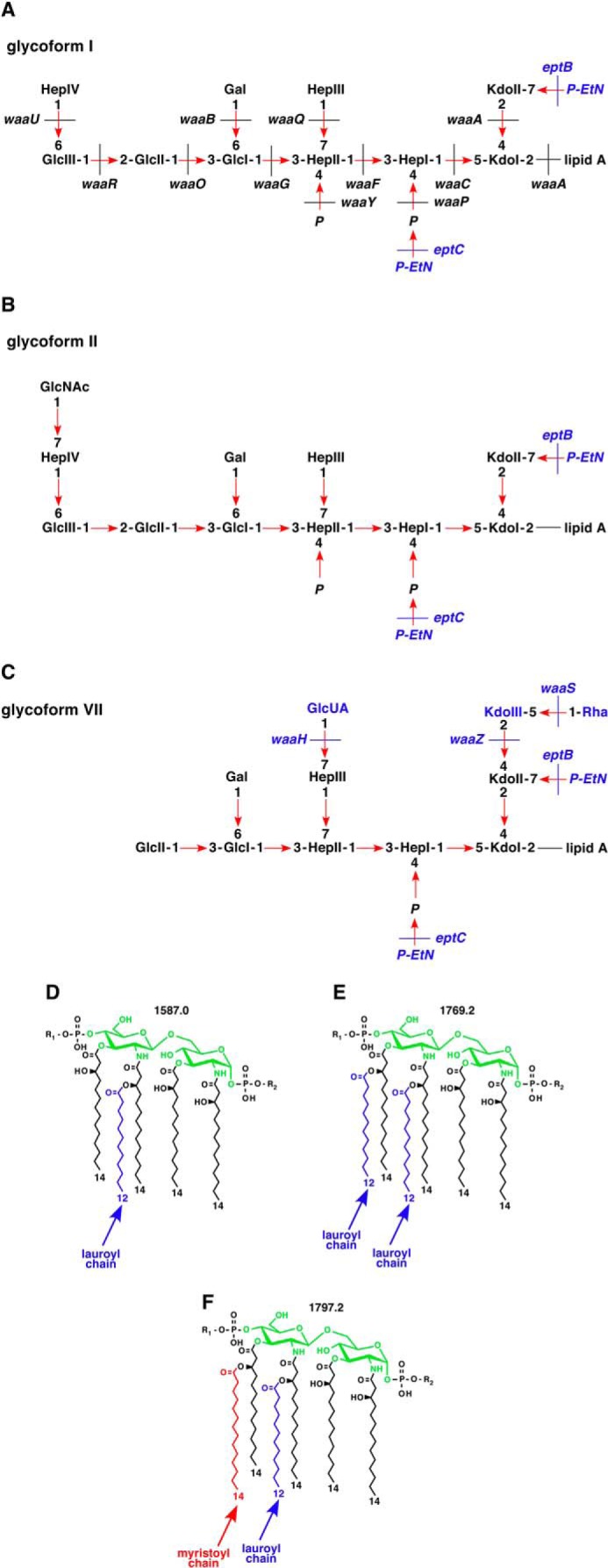 FIGURE 1.