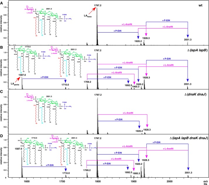 FIGURE 5.