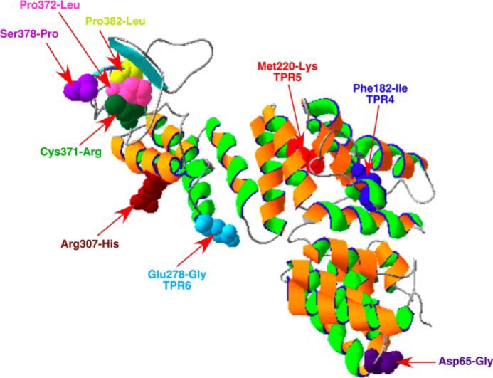 FIGURE 13.