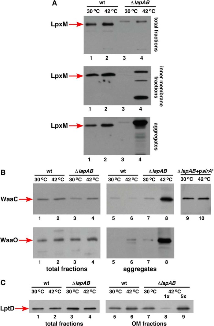 FIGURE 11.