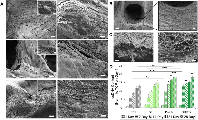 Fig. 9