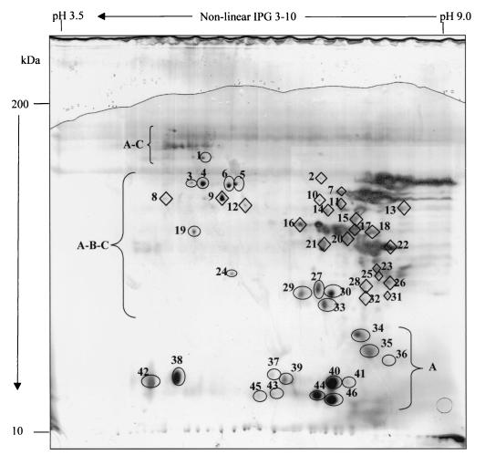 FIG. 1.