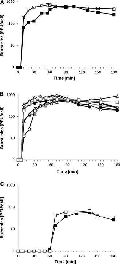 Fig. 3