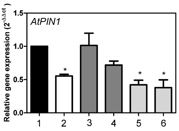 Figure 10