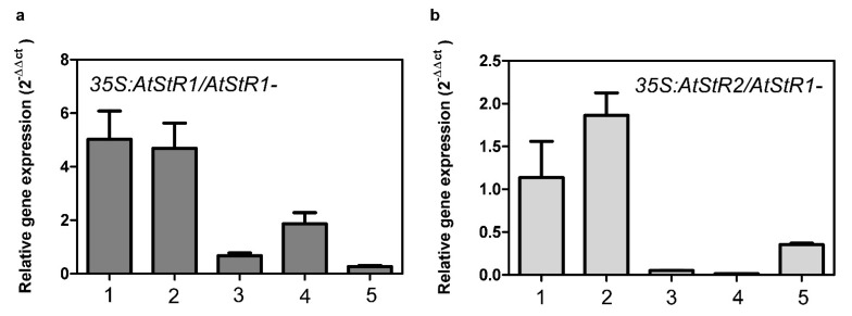 Figure 5