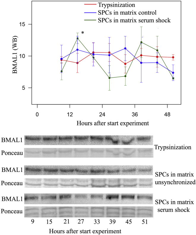 Figure 2