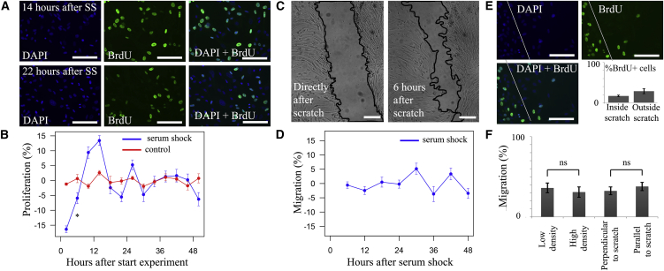 Figure 3