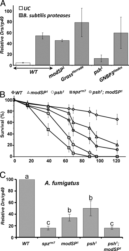 Fig. 5.