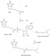 FIG. 6