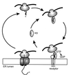 FIG. 7
