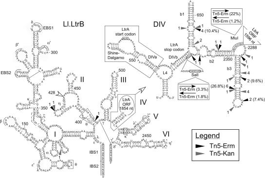 FIGURE 4.