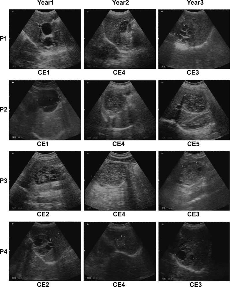 Fig. 1