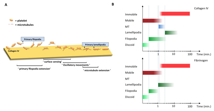 Figure 10. 